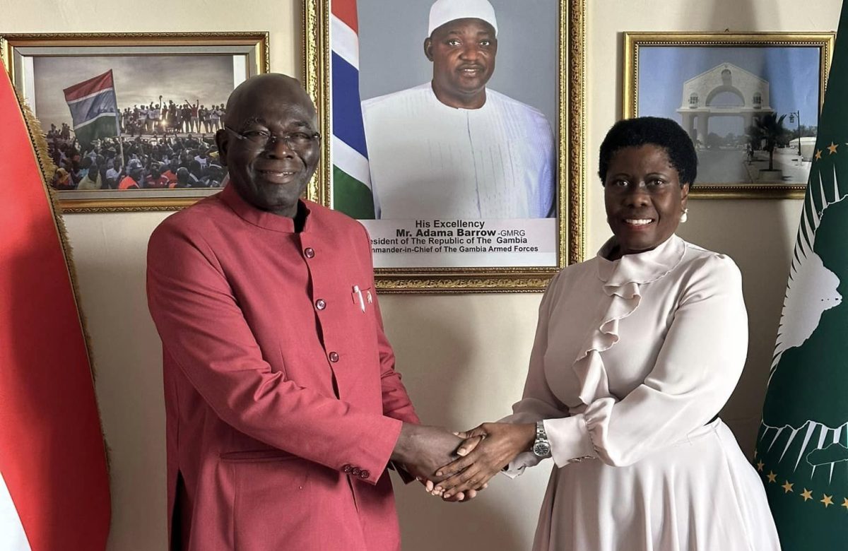 Strengthening Diplomatic Ties: South Africa and The Gambia Discuss Mutual Interests